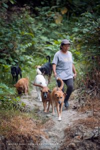 Nach der Flut - Rescate Animal Mompiche - Spaziergang mit den Hunden
