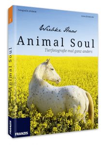 Animal Soul, Fotolehrbuch, Pferdefotografie, Hundefotografie, Tierfotografie