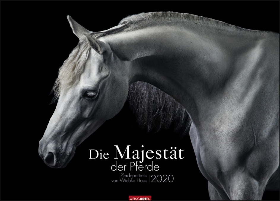Die Majestät der Pferde, Pferdefotokalender, 2020, Wiebke Haas